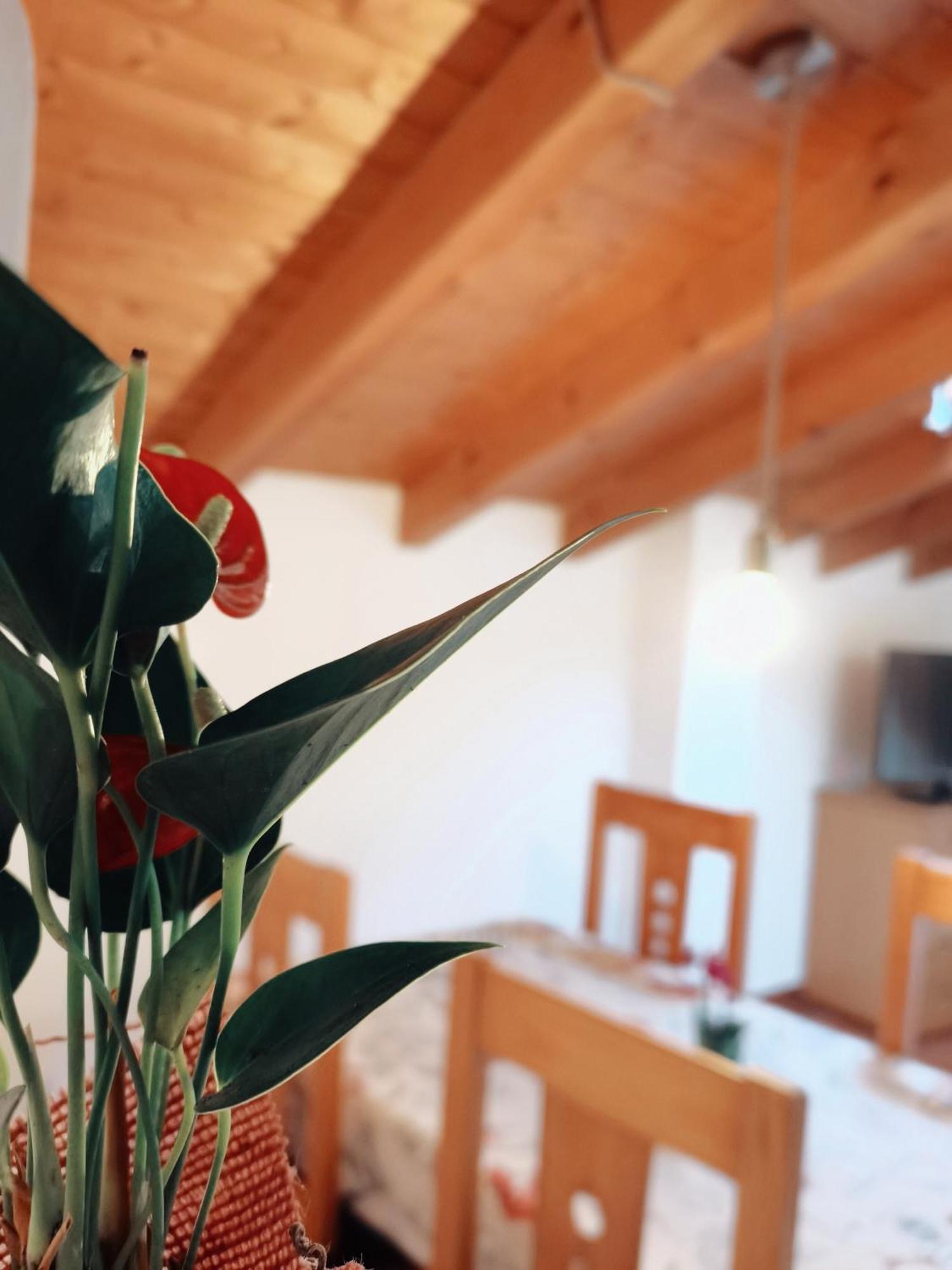 Casa Rural Parada Real 가간타라올라 외부 사진